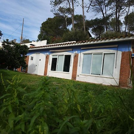 Raconet Azul - Circuito Cataluña Vallromanes Exterior foto